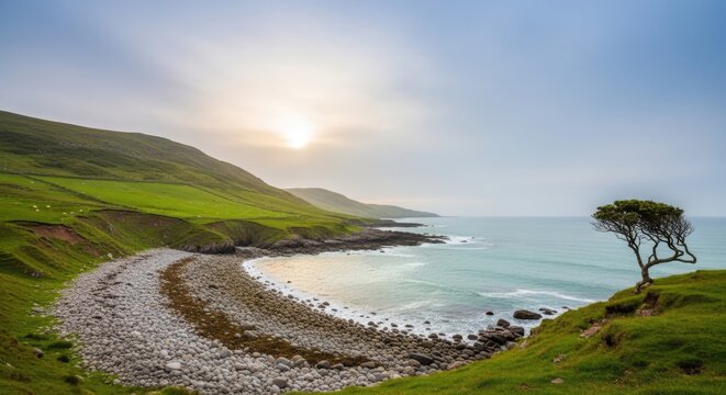 Coastal landscape with green hills and lonely tree at sunset