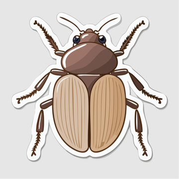 Illustration of a Brown Beetle
