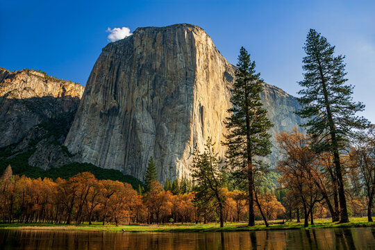 El Capitan and the Merced River in Yosemite National Park in California