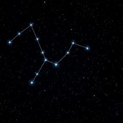 Fototapeta premium constellation of the star