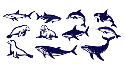 Ocean Animals Hand Drawn Icon Vector Isolated © Az to Design