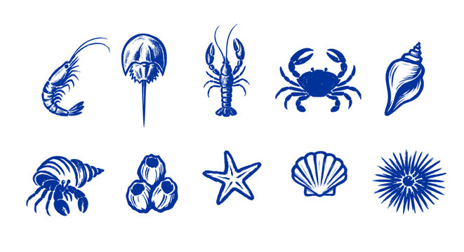 Blue Ocean Fauna Hand Drawn Icon Vector Isolated