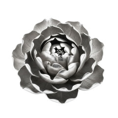 Obraz premium Handcrafted peony flower made of polished silver with intricate layered petals and curling edges isolated against a transparent background, elegant luxury atmosphere
