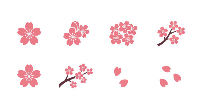 Pink Cherry Blossom Flowers.