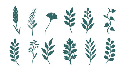Huge Summer Botanical Hand-drawn Silhouette Vector Collection © Az to Design