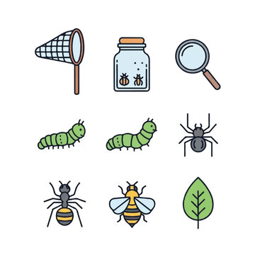 Insects and bug catching tools.
