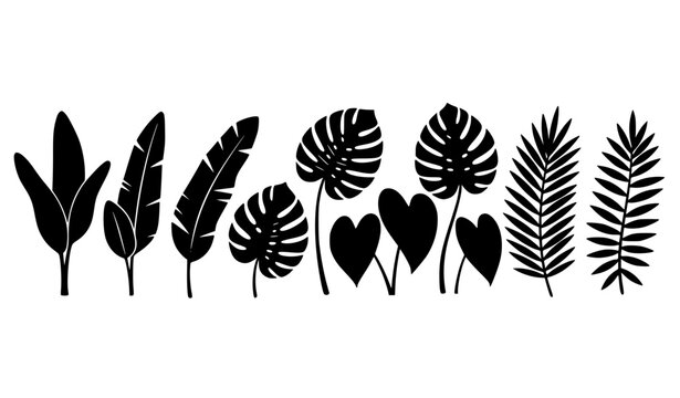 Minimal Tropical Leaf Silhouette Collection with Monstera Palm Banana and Botanical Jungle Foliage Elements for Modern Nature Vector Design