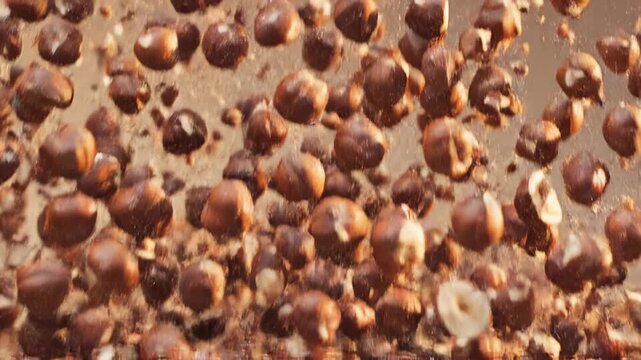 Chopped Hazelnuts Bursting Upward Under Warm Studio Lighting