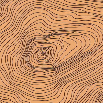 Abstract wood grain pattern featuring concentric black lines on a tan background, representing a cross-section of a tree trunk with organic growth rings and topographic map contours.