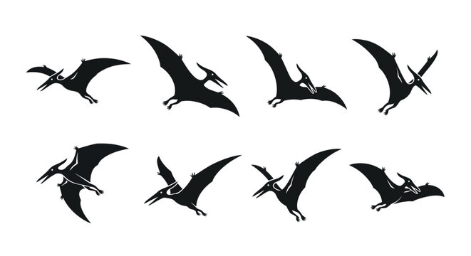 Pterodactyl Silhouette Animation Sequence: Flying Dinosaur Pterosaur in Flight