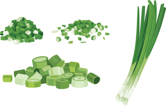 Fresh chopped green onion and whole scallion ingredients.
