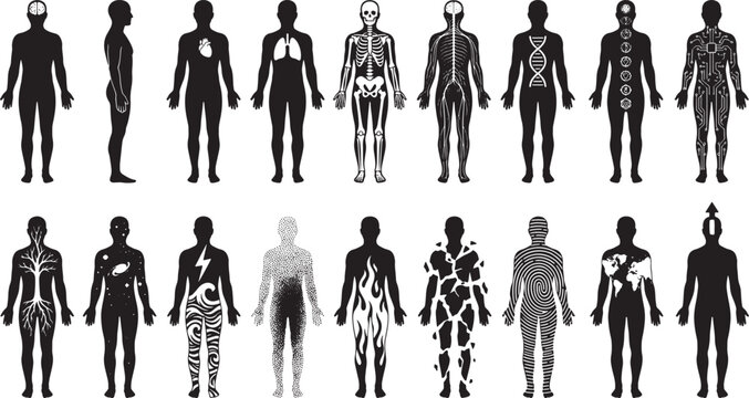 Human body silhouette anatomy set with organs skeleton nervous system dna and abstract patterns in standing pose isolated vector illustration concept of biology healthcare science and technology