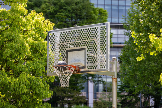 新緑の木々に囲まれた公園のバスケットコートでリングに吸い込まれる瞬間のボール