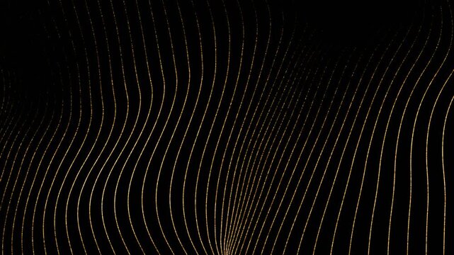 Gold wavy lines on black background, abstract digital surface pattern