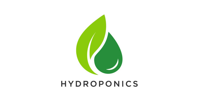 Hydroponics logo with green leaf design.