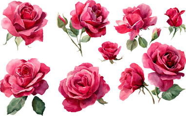 Naklejka premium bouquet of pink roses