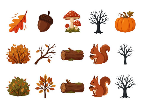Collection of autumn-themed illustrations featuring flora and fauna, including pumpkins, squirrels, and trees, perfect for seasonal designs and nature-inspired projects