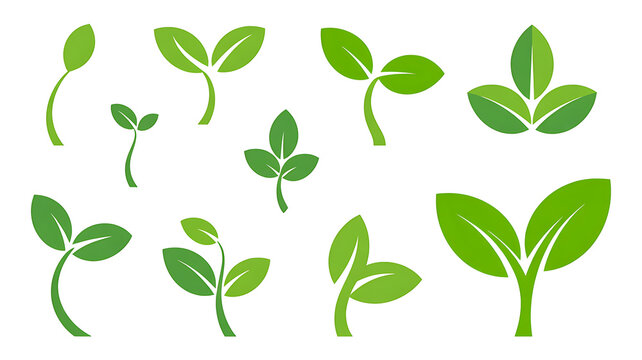 Green plant sprouts collection with different leaf stages and stem growth on transparent background set.