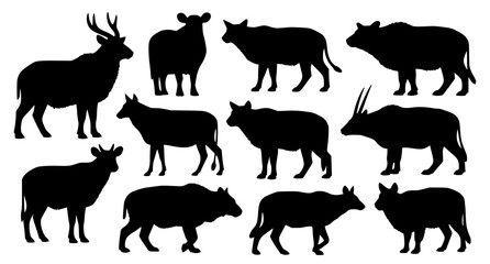 Fototapeta premium Collection of silhouette images featuring various types of wild ungulates