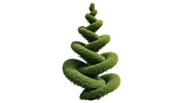 Spiral topiary tree made of green grass, decorative garden shrub sculpture, eco-friendly landscape design element isolated on white background