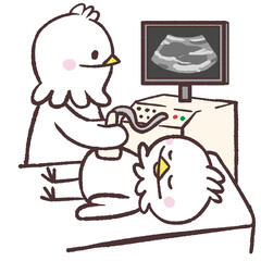 エコー検査する白い鳥のイラスト © おひさまストック