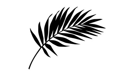 Fototapeta premium Artistic palm leaf silhouette design