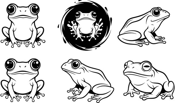 Frog vector illustration set, black and white toad collection, hand drawn amphibian line art, cute animal icons, nature wildlife design.
