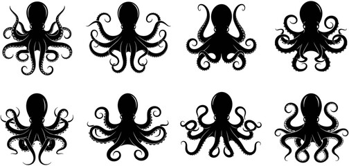 Set, of, eight, black, octopus, silhouettes, with, curled, tentacles, marine, animal, icons, for, nautical, designs, ocean, wildlife, vector, illustration, elements.  © Ahsan