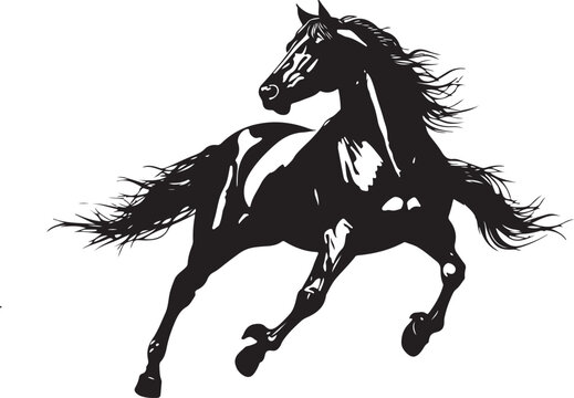 Silhouette black running wild horse with flying mane and tail isolated on white background.
