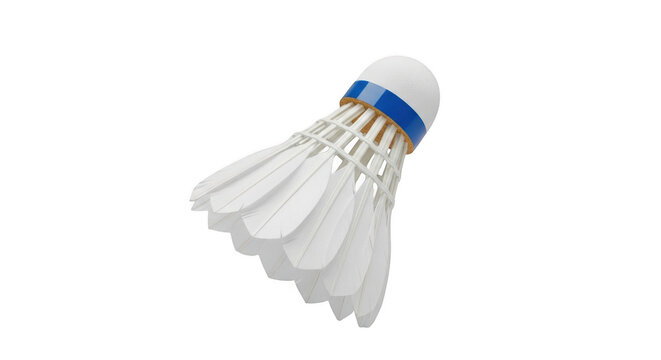 Shuttlecock with blue band