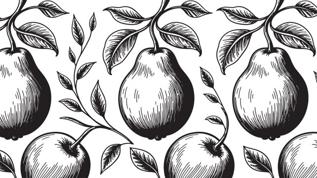Vector illustration Vintage pear fruit pattern with woodcut style etched branches and leaves on transparent background.
