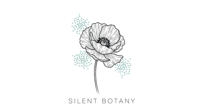 Botanical illustration, flower, anemone, black and white, line art, SILENT BOTANY