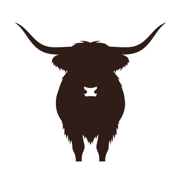 Frontal view illustration of a dark brown Scottish Highland cow with long pointed horns and shaggy coat, minimalist graphic design of cattle isolated on plain white background.