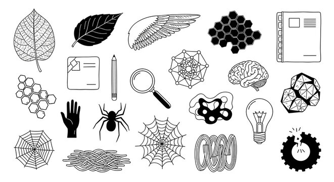 Intricate black and white line art illustrations featuring biological patterns, structural webs, research tools, and anatomical brain structures are arranged on white.