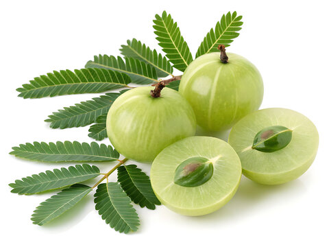 Amla (Indian gooseberry leaves & fruit) 