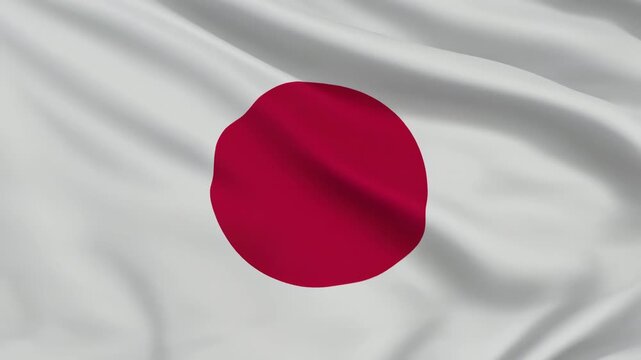 余白が美しいミニマルな日本国旗デザイン