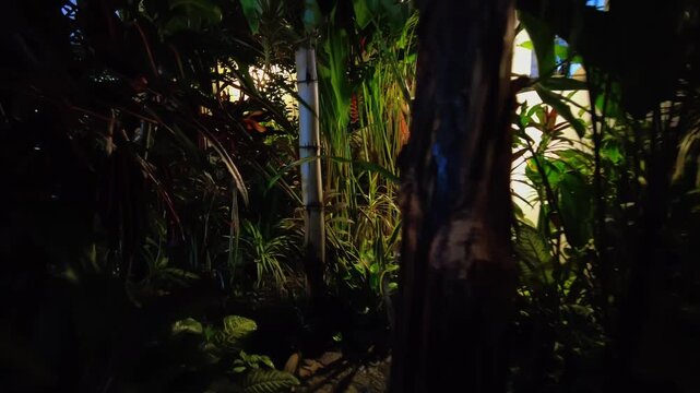 POV walking through a magical courtyard at night, Choroni, Aragua, Venezuela