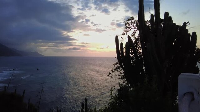A static shot of a sunset over Choroni Bay, featuring the silhouettes of plants and cacti, Aragua, Venezuela