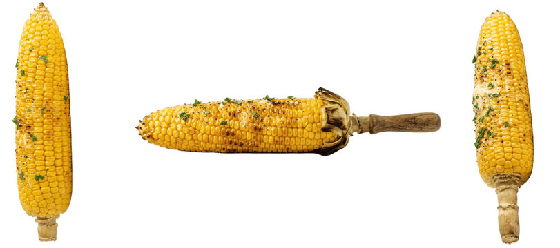 Set of corn on cob PNG collection, three grilled and raw golden maize ears on sticks isolated on white for street food posters, festival menus, farm branding and rustic designs


