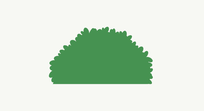 Green bushy plant foliage.