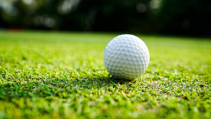 Obraz premium Golf clubs and balls on a green lawn in a beautiful golf course with morning sunshine.