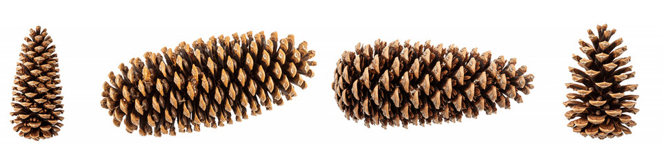 Collection of four brown pine cones isolated on a black background