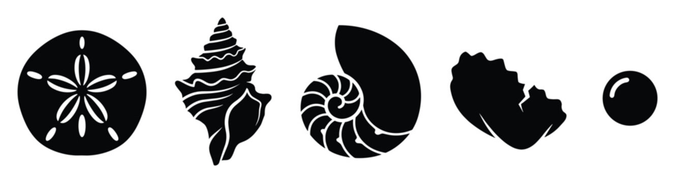 Stylized silhouettes of various seashells and sea elements for marine life designs and aquatic theme projects