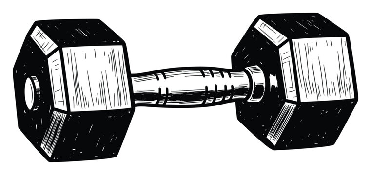 Hand drawn dumbbell for fitness workout and strength training equipment gym graphics