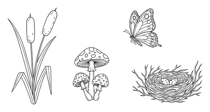 Black and white outline drawings of nature elements for childrens coloring books.