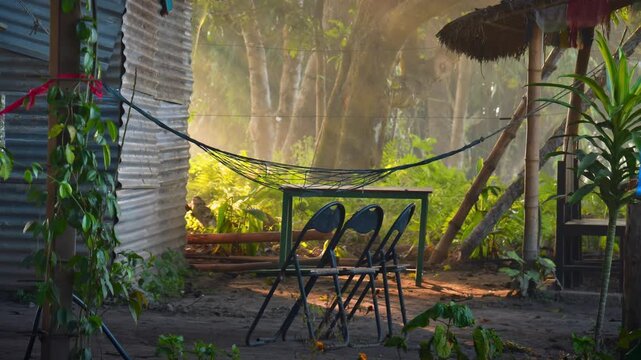 Morning light timelapse in jungle camp. A traveler sits by a rustic hut as sunbeams filter through trees, capturing a serene, off-grid adventure. Dog cuddle best friend and lifestyle off the grid