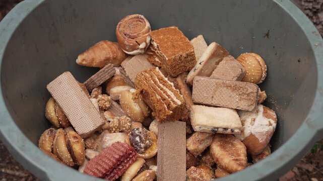 Bread Food Waste, Expired Loaves in Trash, Sustainability and Pollution