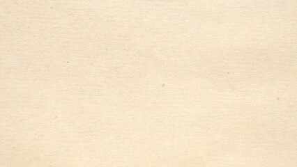 Fototapeta premium light brown recycled craft paper texture background