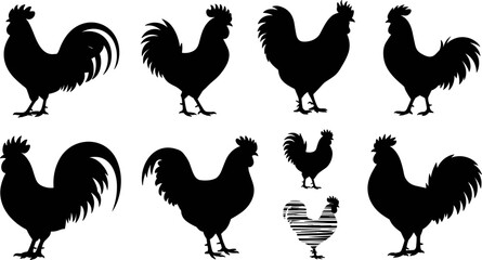 rooster cockerel silhouette collection with eight pose and style variations from ornate detailed to bold minimal vector illustration © MDShakhawat