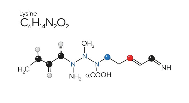Lysine chemical structure diagram, molecular formula C6H14N2O2, scientific illustration